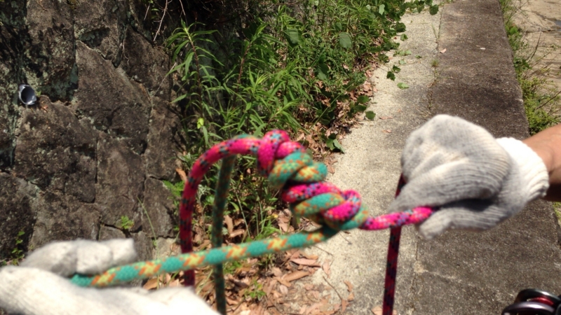 f:id:beru900r:20140604091422j:plain