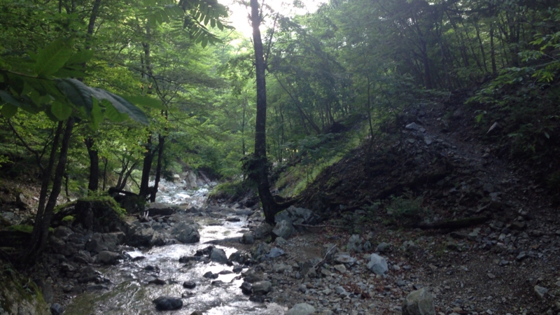 f:id:beru900r:20140715073525j:plain