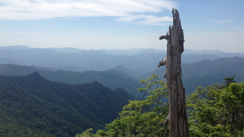 f:id:beru900r:20140715074218j:plain