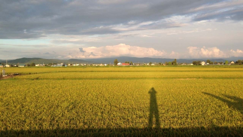 f:id:beru900r:20140824074457j:plain
