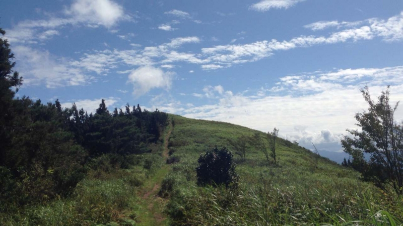 f:id:beru900r:20140902095914j:plain