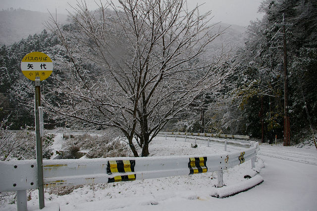 f:id:beru900r:20141208171601j:plain