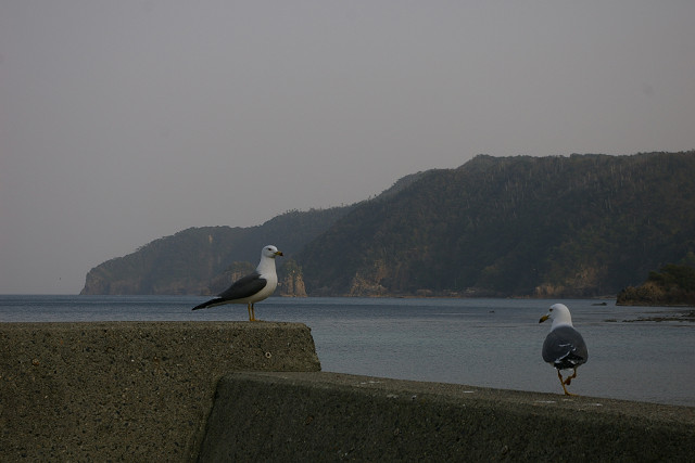 f:id:beru900r:20150327064353j:plain