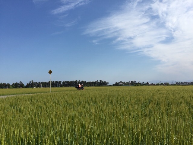 f:id:beru900r:20150508130300j:image f:id:beru900r:20150508130300j:image