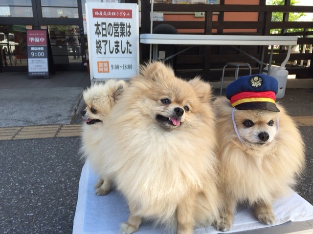 f:id:beru900r:20150508130341j:image f:id:beru900r:20150508130341j:image