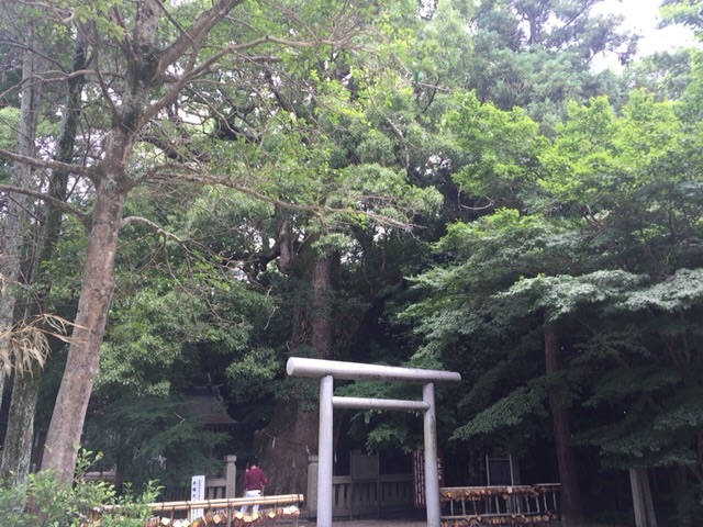 f:id:beru900r:20150701033605j:image f:id:beru900r:20150701033605j:image
