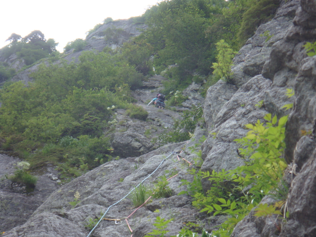 f:id:beru900r:20150729075421j:plain