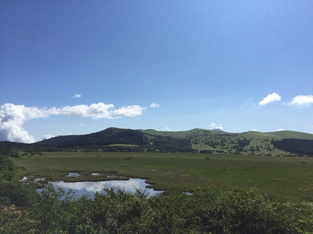 f:id:beru900r:20150819062204j:image f:id:beru900r:20150819062204j:image