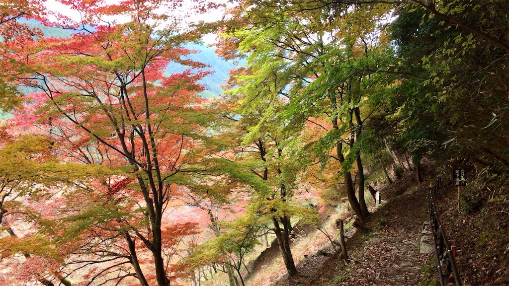 f:id:beru900r:20161115014058j:image