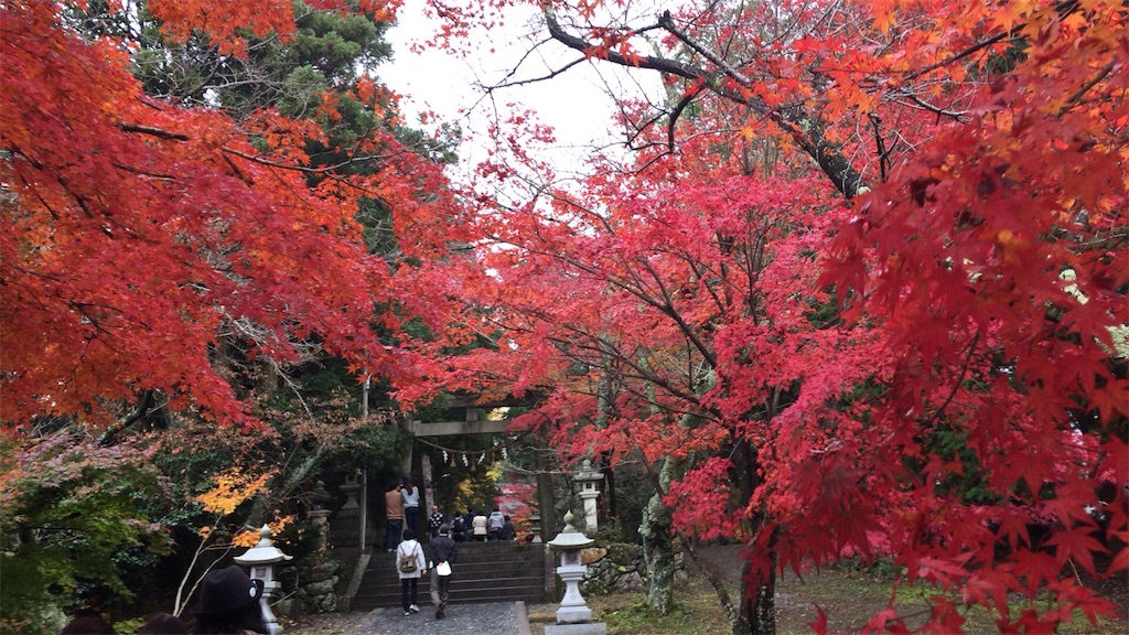 f:id:beru900r:20161121103045j:image