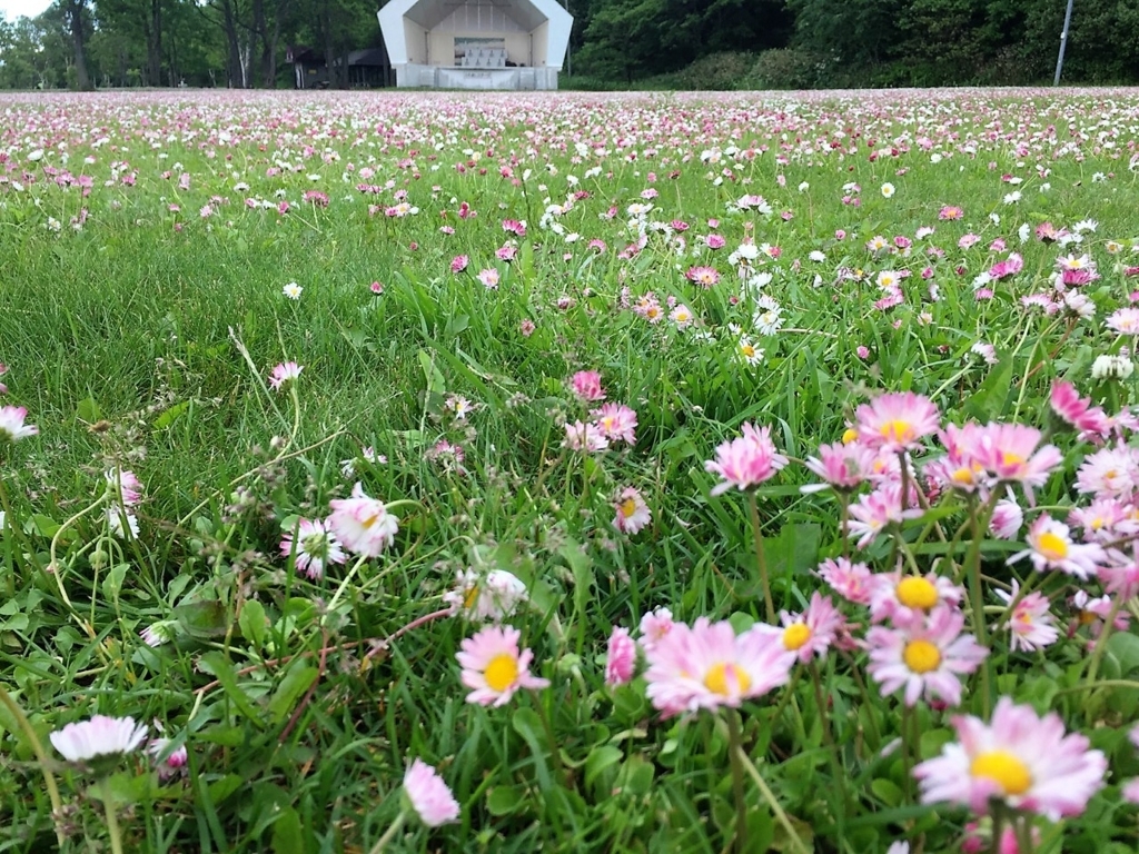 f:id:beru900r:20170727072848j:plain f:id:beru900r:20170727072848j:plain