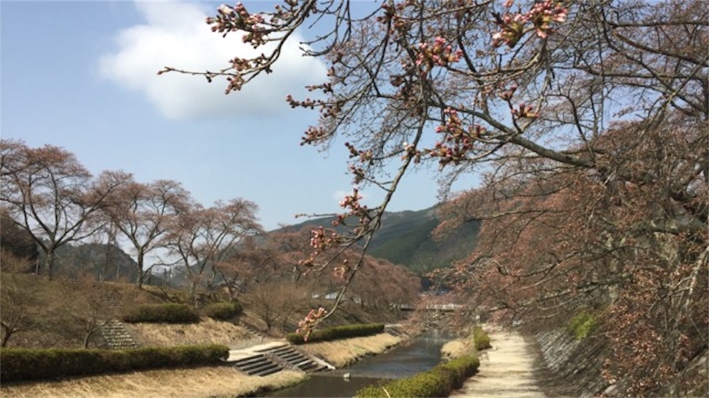 f:id:beru900r:20180402081314j:plain f:id:beru900r:20180402081314j:plain