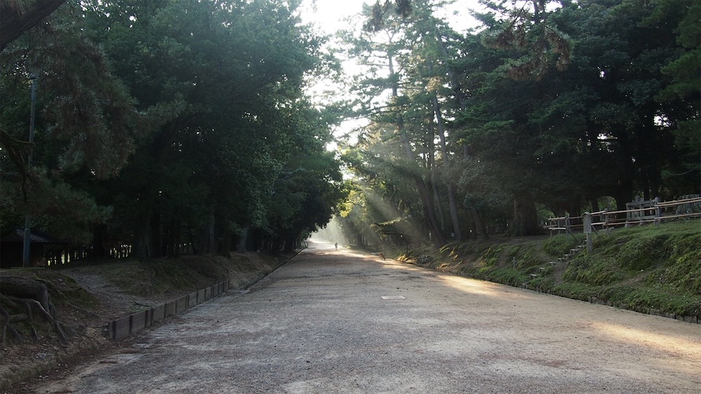 f:id:beru900r:20200903090304j:image