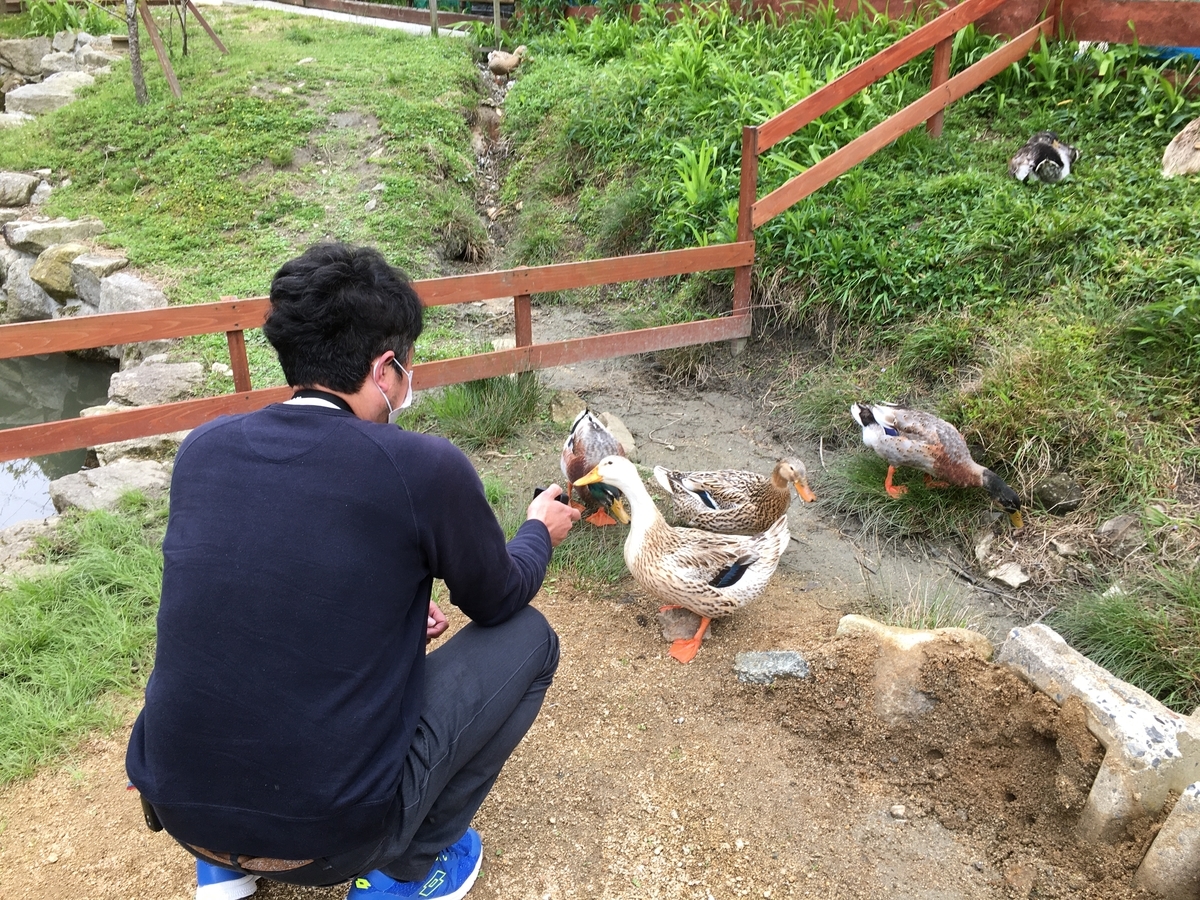 f:id:beru900r:20210418122856j:plain