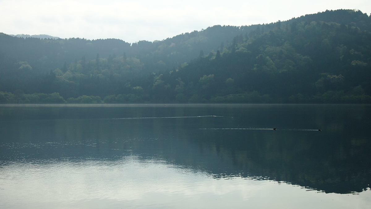 f:id:beru900r:20210425115920j:plain