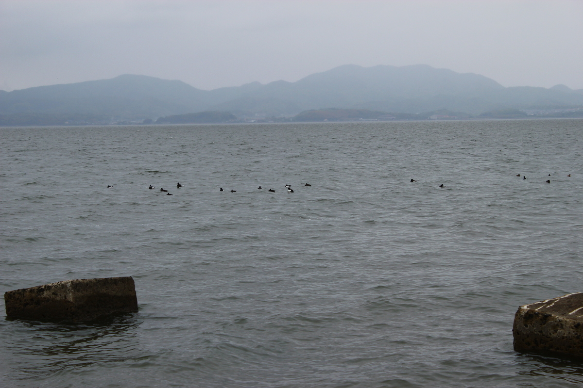 f:id:beru900r:20210429061036j:plain