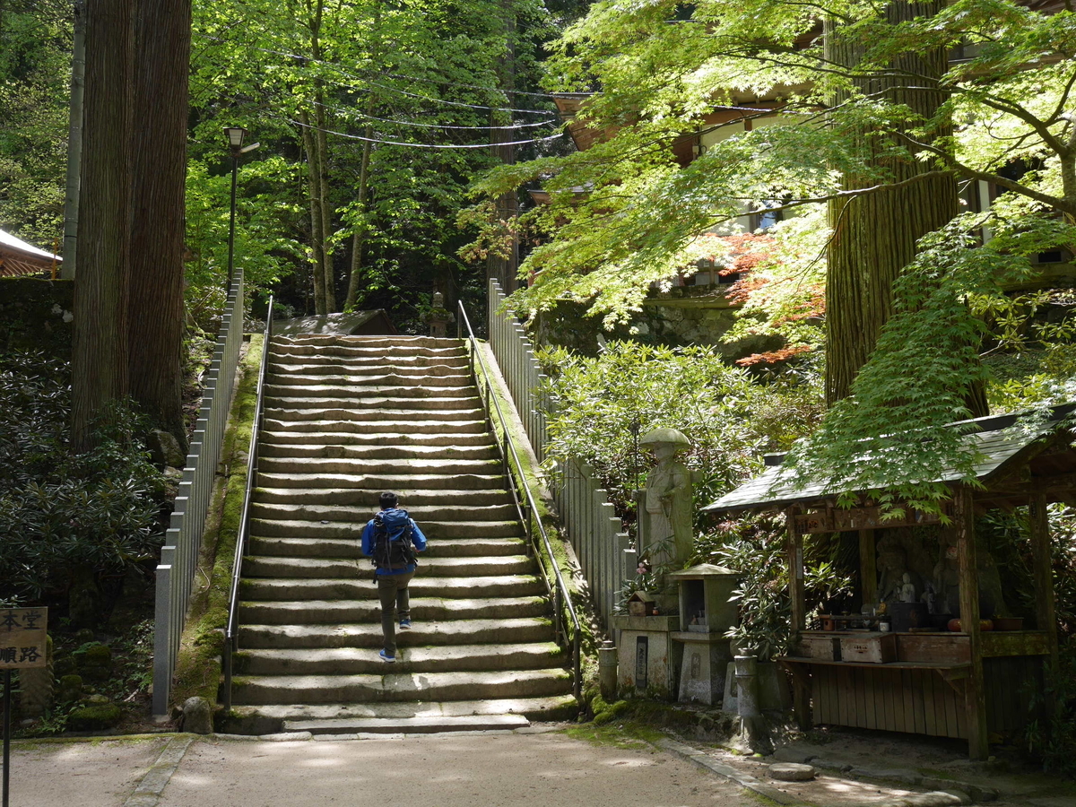 f:id:beru900r:20210502104633j:plain