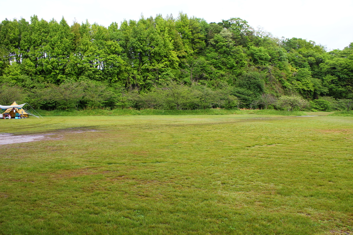 f:id:beru900r:20210502135029j:plain