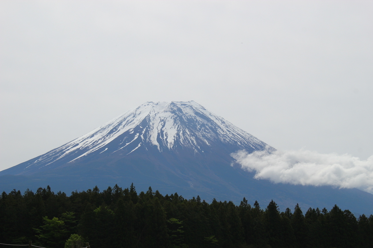 f:id:beru900r:20210519035759j:plain