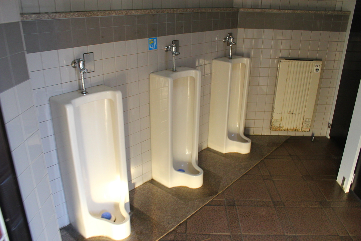 f:id:beru900r:20210527050534j:plain