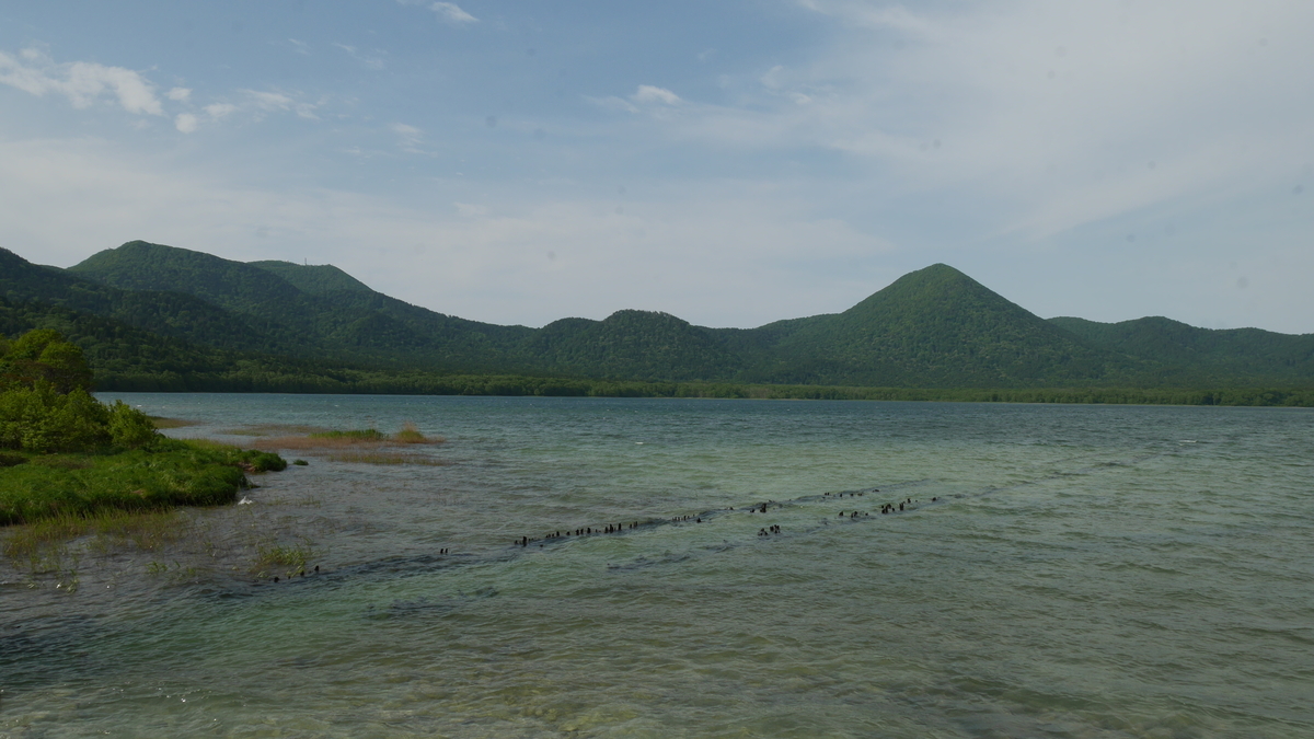 f:id:beru900r:20210607192450j:plain