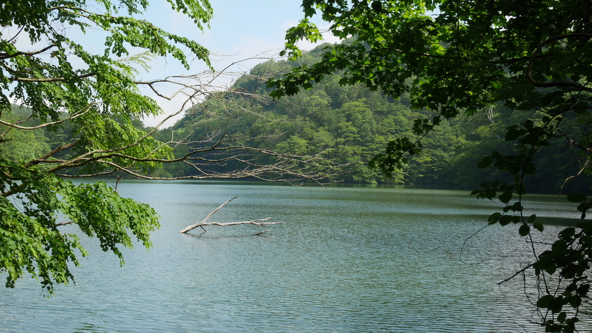 f:id:beru900r:20210608144949j:plain