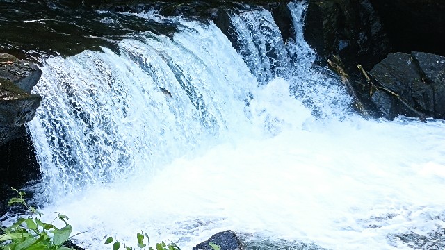 f:id:beru900r:20210718064249j:image