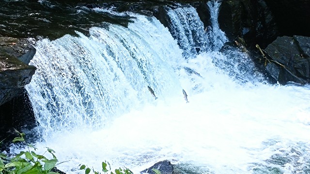 f:id:beru900r:20210718064314j:image