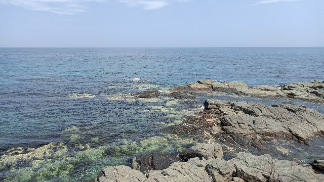f:id:beru900r:20210720082543j:image