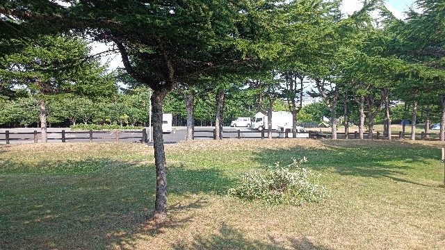 f:id:beru900r:20210720082846j:image