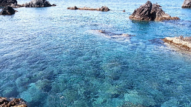 f:id:beru900r:20210814074133j:image