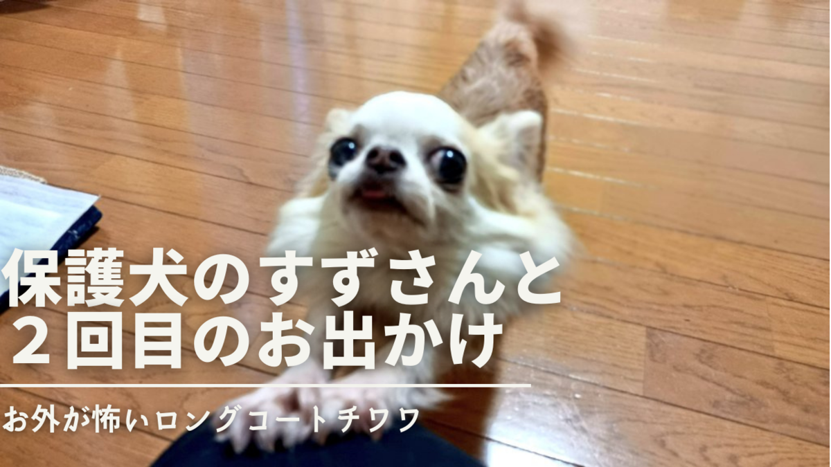 f:id:beru900r:20220126203356p:plain