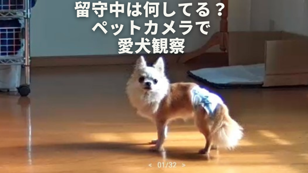 f:id:beru900r:20220128044853p:plain