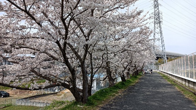f:id:beru900r:20220403150152j:image