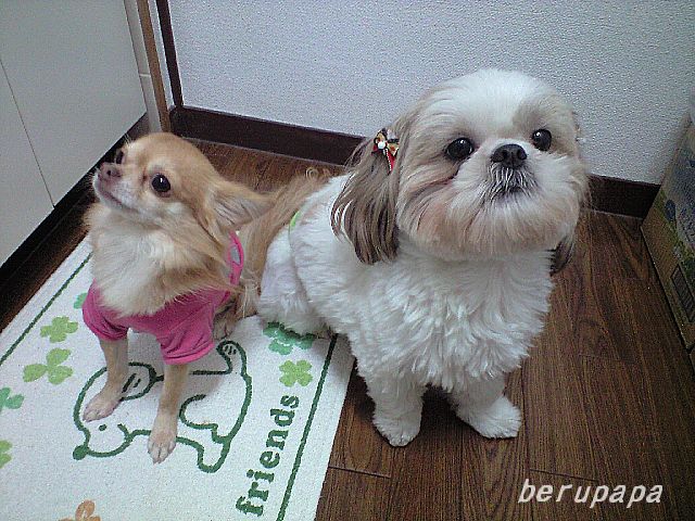 20111220172245