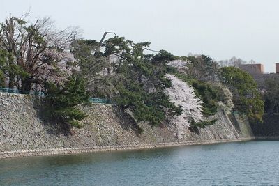 20120410200718