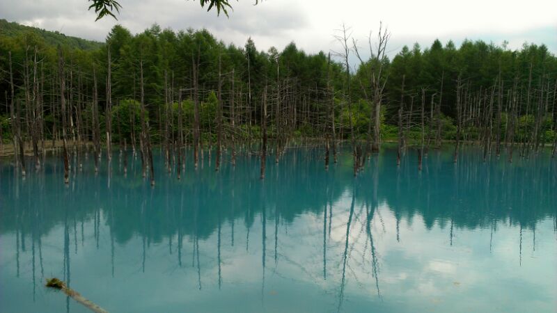 f:id:beruseti:20120722164133j:image f:id:beruseti:20120722164133j:image