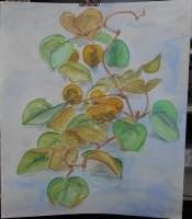 f:id:beruthiel:20180502214049j:image:right