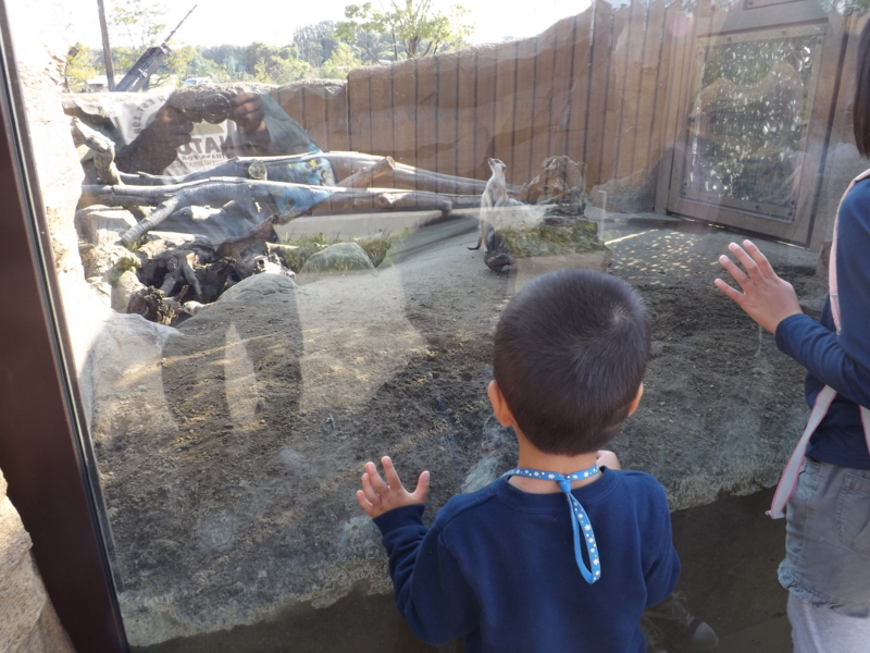 f:id:berutsuku:20151106100405j:image:w360