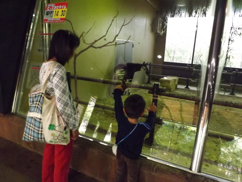 f:id:berutsuku:20151106102415j:image:w360