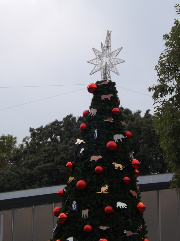 f:id:berutsuku:20151106123838j:image:w240