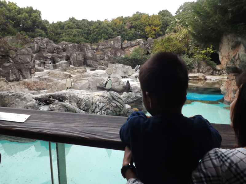 f:id:berutsuku:20151106124657j:image:w360