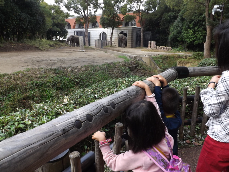 f:id:berutsuku:20151106132020j:image:w360