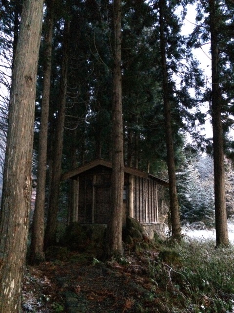 f:id:besmart-chari:20161119211236j:plain