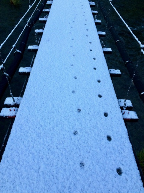 f:id:besmart-chari:20161119211257j:plain