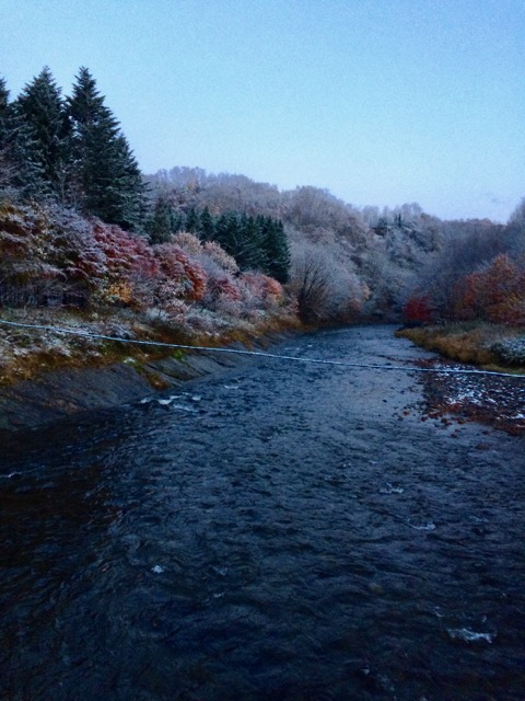 f:id:besmart-chari:20161119211307j:plain