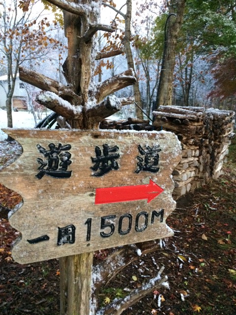 f:id:besmart-chari:20161119211340j:plain