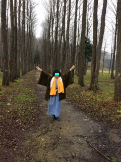 f:id:besmart-chari:20161119211642j:plain