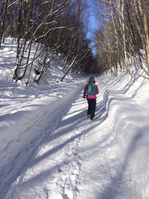 f:id:besmart-chari:20161230221316j:plain