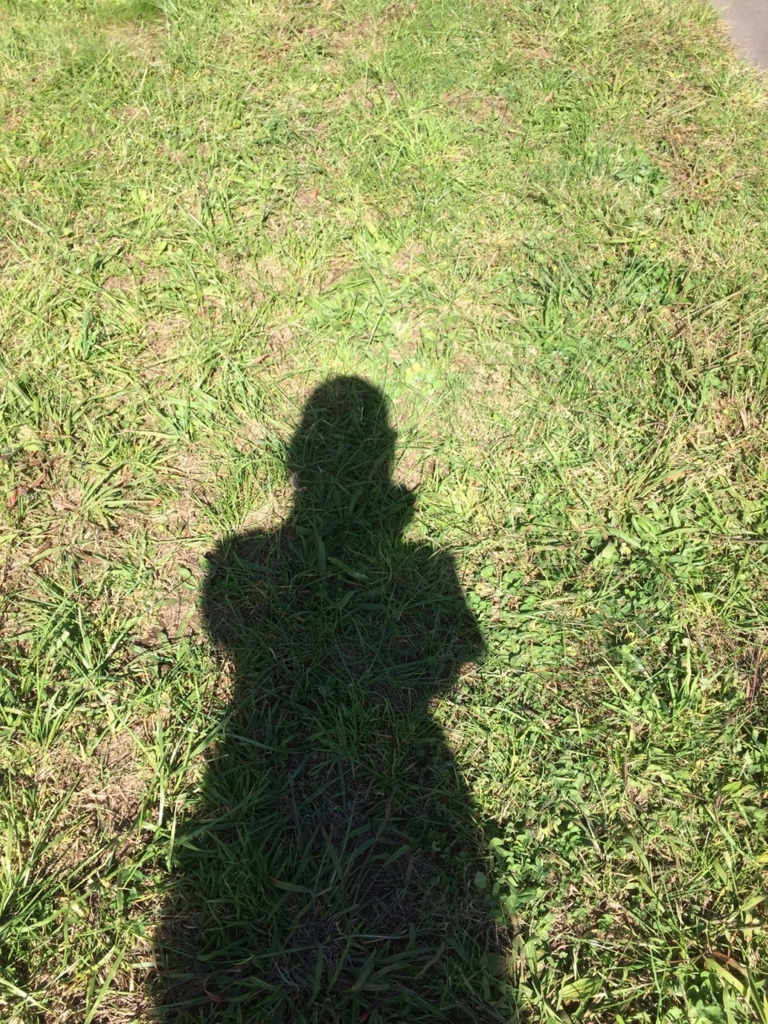 f:id:besmart-chari:20171001214824j:plain